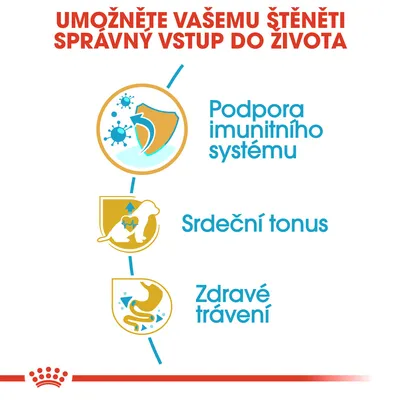 Podpora imunitního systému, srdeční tonus, zdravé trávení – klíčové benefity pro štěňata uvedené na obrázku s ikonami a textem.