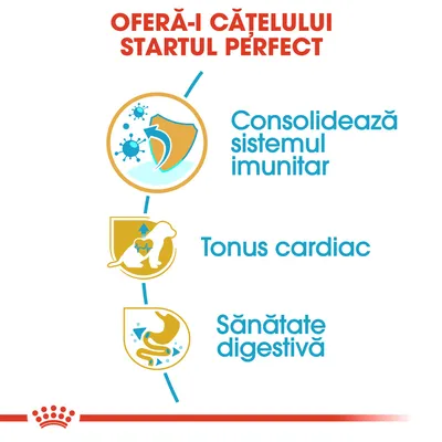 Oferă-i cățelului startul perfect. Consolidează sistemul imunitar, tonus cardiac, sănătate digestivă.