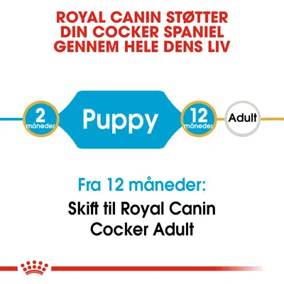 Royal Canin støtter din Cocker Spaniel gennem hele dens liv. Puppy fra 2–12 måneder, Adult fra 12 måneder. Skift til Royal Canin Cocker Adult fra 12 måneder.
