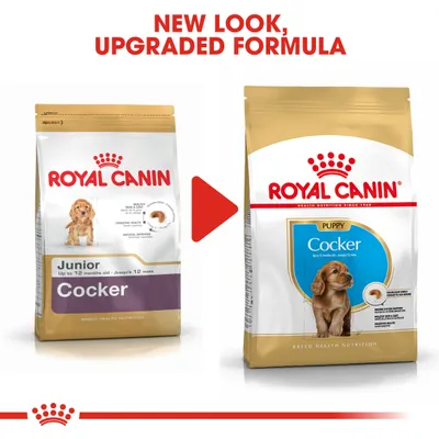 Royal Canin Cocker -koiranruoan pakkausuudistus: vasemmalla vanha Junior-pakkaus, oikealla uusi Puppy-pakkaus. Teksti ylhäällä: New look, upgraded formula.