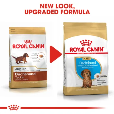 Comparison of old and new Royal Canin Dachshund puppy food packaging with text: New look, upgraded formula. Shows changes in design and product labelling.