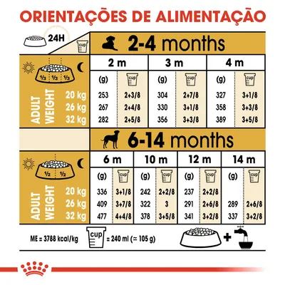 Tabela de orientações de alimentação para cães de 2 a 14 meses, com doses diárias em gramas e chávenas, divididas por peso adulto: 20 kg, 26 kg, 32 kg. 1 chávena = 240 ml (≈105 g).
