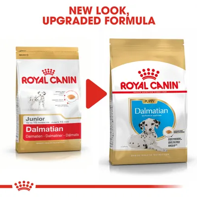 Royal Canin Dalmatian Puppy