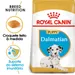 Royal Canin Dálmata Puppy
