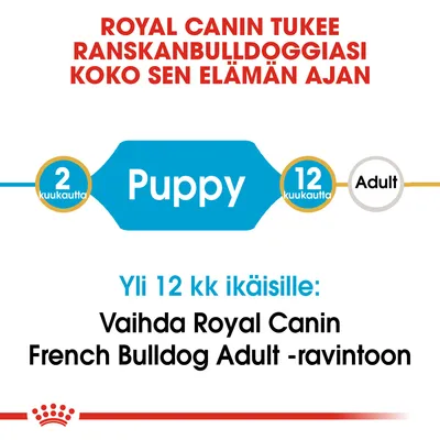 ROYAL CANIN tukee ranskanbulldoggiasi koko elämän ajan. 2 kuukautta Puppy, 12 kuukautta Adult. Yli 12 kk ikäisille: Vaihda Royal Canin French Bulldog Adult -ravintoon.