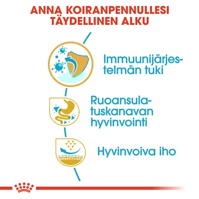 Anna koiranpennullesi täydellinen alku: immuunijärjestelmän tuki, ruoansulatuskanavan hyvinvointi, hyvinvoiva iho. Teksti ja kolme symbolia.