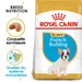 Royal Canin Bouledogue Français Puppy pour chiot