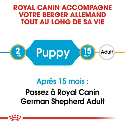 ROYAL CANIN accompagne votre Berger Allemand tout au long de sa vie. Puppy 2–15 mois, après 15 mois : passez à Royal Canin German Shepherd Adult. Texte en anglais et français.