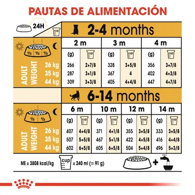 Tabla de pautas de alimentación para perros según peso adulto (26, 35, 44 kg) y edad (2–14 meses), con cantidades diarias en gramos y tazas. Incluye equivalencia: 1 taza = 240 ml ≈ 91 g.