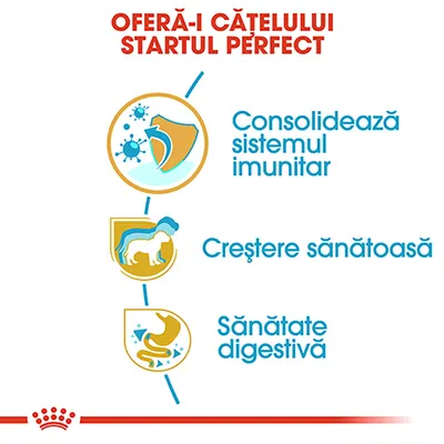 OFERĂ-I CĂȚELULUI STARTUL PERFECT. Consolidează sistemul imunitar. Creștere sănătoasă. Sănătate digestivă.