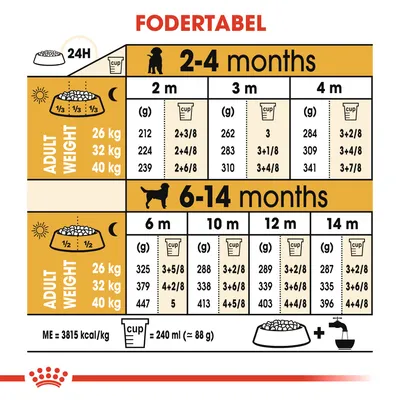 Fodertabel for hundehvalpe 2–14 måneder, opdelt efter voksenvægt 26, 32 og 40 kg. Viser daglige fodermængder i gram og kopper pr. alder. 1 kop = 240 ml (≈88 g).