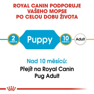Royal Canin podporuje vašeho mopse po celý život. Od 2 do 10 měsíců Puppy, nad 10 měsíců přejít na Royal Canin Pug Adult.