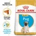 Royal Canin Pug Puppy