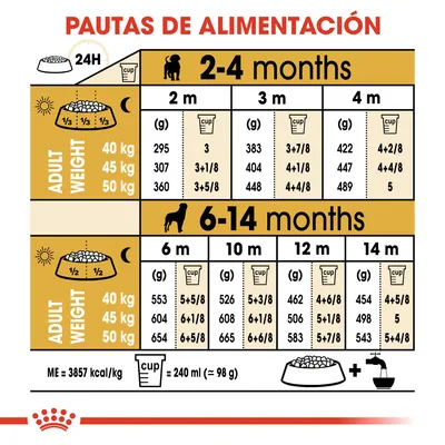 Pautas de alimentación para perros grandes según peso adulto (40, 45, 50 kg) y edad (2–14 meses), cantidades diarias en gramos y tazas. 1 taza = 240 ml (≈98 g). ME=3857 kcal/kg.