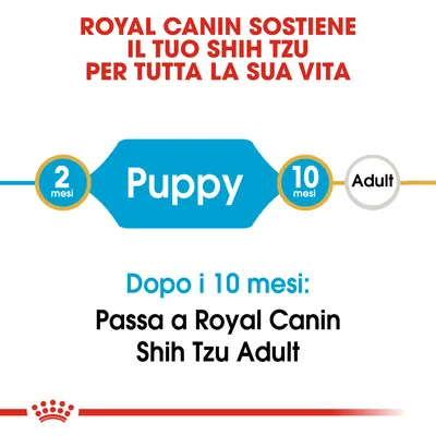 Royal Canin sostiene il tuo Shih Tzu per tutta la sua vita. Puppy da 2 a 10 mesi, poi passa a Royal Canin Shih Tzu Adult dopo i 10 mesi.