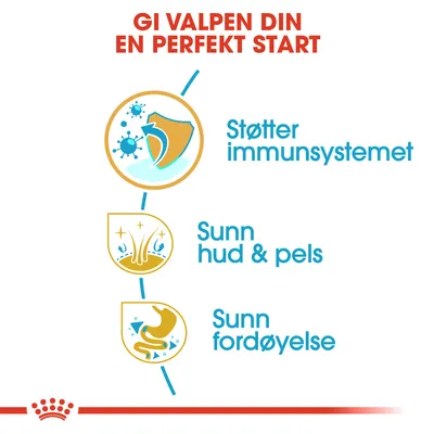 Royal Canin Shih Tzu Puppy