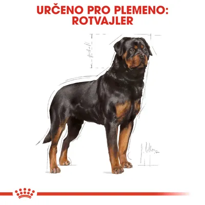 Ilustrace psa s textem: URČENO PRO PLEMENO: ROTVAJLER