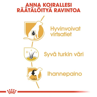 Anna koirallesi räätälöityä ravintoa. Hyvinvoivat virtsatiet, syvä turkin väri, ihannepaino.