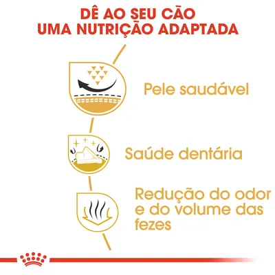 Dê ao seu cão uma nutrição adaptada: pele saudável, saúde dentária, redução do odor e do volume das fezes.