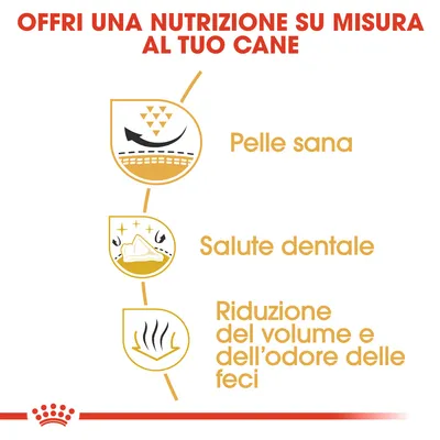 Offri una nutrizione su misura al tuo cane. Pelle sana, salute dentale, riduzione del volume e dell’odore delle feci.