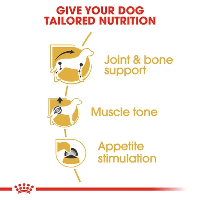 Teksti englanniksi: Give your dog tailored nutrition. Joint & bone support, muscle tone, appetite stimulation. Kolme kuvaketta koiran nivelille, lihaksille ja ruokahalulle.