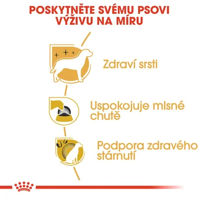 Poskytněte svému psovi výživu na míru: Zdraví srsti, uspokojuje mlsné chutě, podpora zdravého stárnutí.