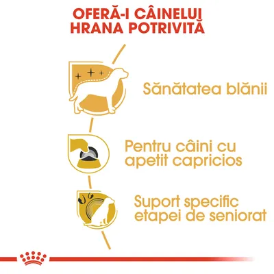 OFERĂ-I CÂINELUI HRANA POTRIVITĂ. Sănătatea blănii. Pentru câini cu apetit capricios. Suport specific etapei de seniorat.
