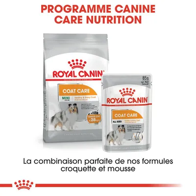 ROYAL CANIN COAT CARE croquettes MINI et sachet mousse ALL SIZES, programme nutrition pour chien, mention Healthy & Shiny Coat, pack 85 g visible, combinaison croquette et mousse.