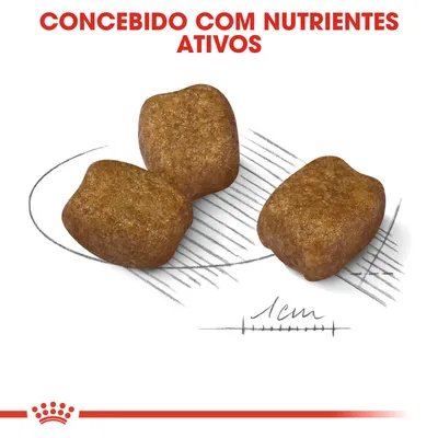 Três croquetes de ração com texto: 'Concebido com nutrientes ativos' e escala desenhada a indicar 1 cm.