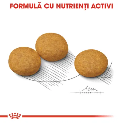 Trei crochete rotunde, diametru aproximativ 1 cm, cu textul „FORMULĂ CU NUTRIENȚI ACTIVI” deasupra. Linie de referință pentru dimensiune inclusă în imagine.