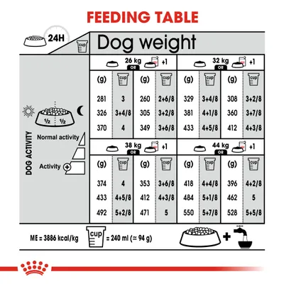 Feeding table showing daily food amounts in grams and cups for different dog weights and activity levels. Includes guidance for normal and active dogs, with cup size defined as 240ml or 94g.