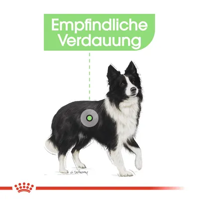 Texte en allemand : Empfindliche Verdauung, illustré par un chien noir et blanc avec un point vert sur l’abdomen. Texte non traduit ailleurs sur la page.