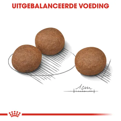 Drie ronde brokken met schaalverdeling en tekst 'UITGEBALANCEERDE VOEDING' erboven, maatindicatie 1 cm zichtbaar.