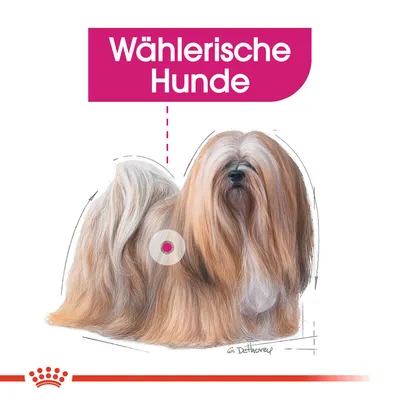Illustration eines Hundes mit langem Fell und Text 'Wählerische Hunde'.