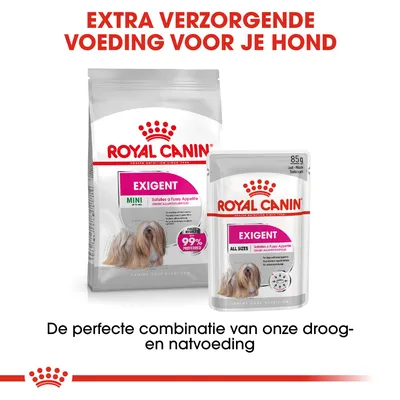 Royal Canin Exigent MINI droogvoer en Exigent natvoeding voor honden, tekst: Extra verzorgende voeding voor je hond. De perfecte combinatie van onze droog- en natvoeding.