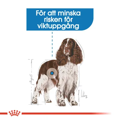 Text: För att minska risken för viktuppgång. Illustration av en hund med markering på kroppen och streckad linje upp till texten.
