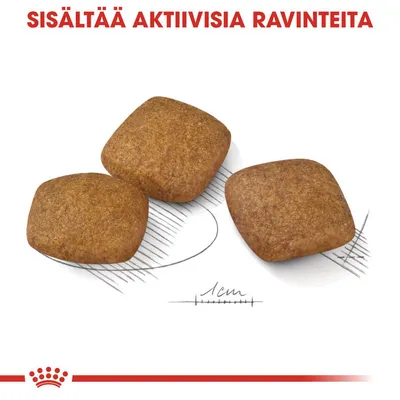 Kolme neliönmuotoista nappulaa, taustalla mittaviiva 1 cm. Ylhäällä teksti: SISÄLTÄÄ AKTIIVISIA RAVINTEITA.