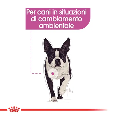 Testo: Per cani in situazioni di cambiamento ambientale. Illustrazione di un cane bianco e nero con evidenziazione sul petto.
