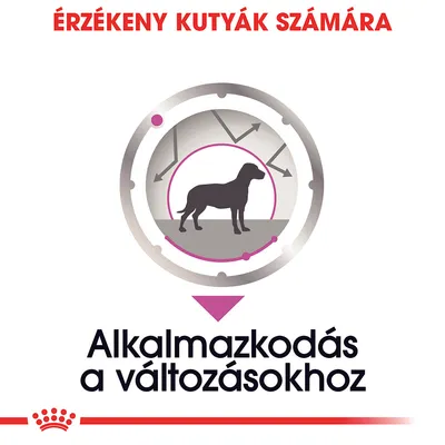 ÉRZÉKENY KUTYÁK SZÁMÁRA. Alkalmazkodás a változásokhoz felirat, kutya sziluett körben, nyilakkal.