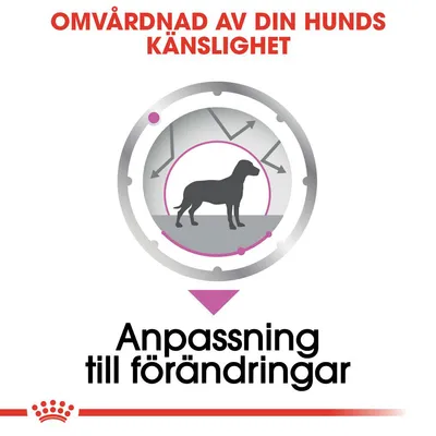 Text: Omvårdnad av din hunds känslighet. Anpassning till förändringar. Illustration av hund i cirkel med pilar.