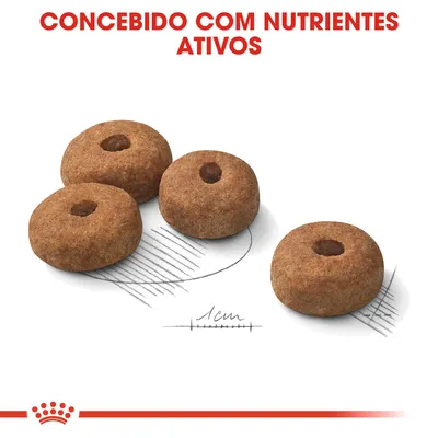 Quatro croquetes redondos de ração com furo central, diâmetro indicado como 1 cm. Texto visível: 'Concebido com nutrientes ativos'.