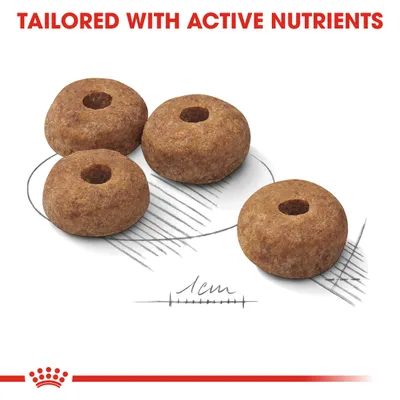 Four ring-shaped kibble pieces shown with a 1cm scale and the text 'Tailored with active nutrients' above.