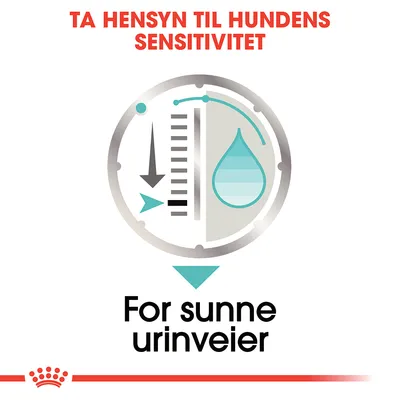 Royal Canin Urinary Care Mousse