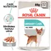 Royal Canin Urinary Care Mousse