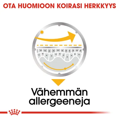 Ota huomioon koirasi herkkyys. Vähemmän allergeeneja. Teksti ja kaaviokuva, jossa nuoli osoittaa vähentyneitä allergeeneja. Teksti suomeksi.