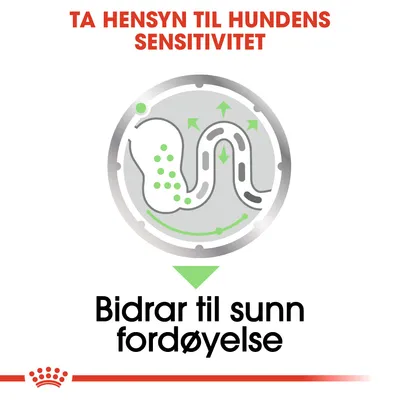 Royal Canin Digestive Care Mousse