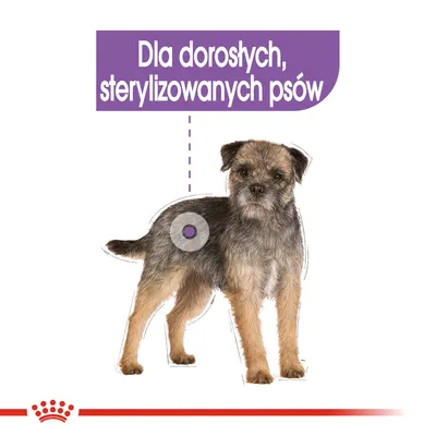 Dla dorosłych, sterylizowanych psów