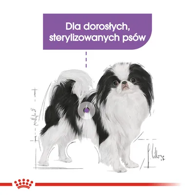 Dla dorosłych, sterylizowanych psów – tekst na ilustracji psa rasy japoński chin. Widoczny fioletowy znacznik i logo Royal Canin. Dla dorosłych, sterylizowanych psów – tekst na ilustracji psa rasy japoński chin. Widoczny fioletowy znacznik i logo Royal Canin.
