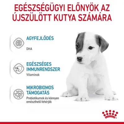 Egészségügyi előnyök az újszülött kutya számára: agyfejlődés (DHA), egészséges immunrendszer (vitaminok), mikrobiomos támogatás (prebiotikumok, könnyen emészthető fehérjék).