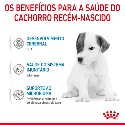 Os benefícios para a saúde do cachorro recém-nascido: desenvolvimento cerebral (DHA), saúde do sistema imunitário (vitaminas), suporte ao microbioma (prebióticos e proteínas digestíveis). Os benefícios para a saúde do cachorro recém-nascido: desenvolvimento cerebral (DHA), saúde do sistema imunitário (vitaminas), suporte ao microbioma (prebióticos e proteínas digestíveis).